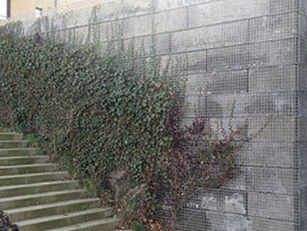 Stacking block with facing wall